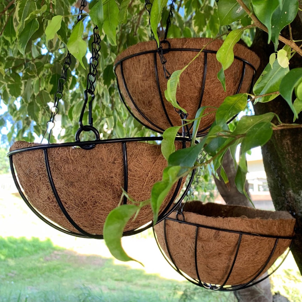 5 Vasos de Fibra de Coco 30cm Plantas Suspenso com Corrente