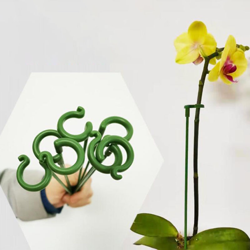 5pcs/10pcs Planta Plástica Suporta Suporte De Flores Proteção Reutilizável Ferramenta De Fixação Suprimentos De Jardinagem Para Vegetais BR6L1