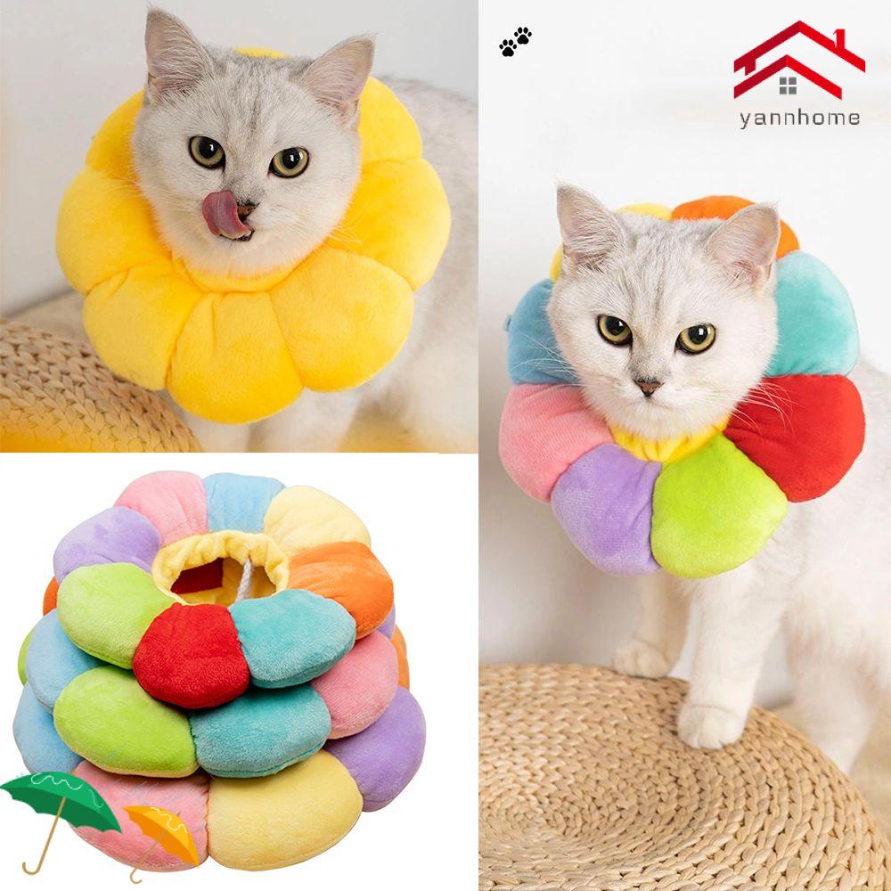 YANNHOME Cat Gato Pequeno Cachorro Desenho De Flor De Sol Pet E Coleira Protetora Elizabethan Cone De Pescoço Fofo