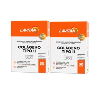 Colágeno Lavitan Tipo 2 40mg 30 Comprimidos Com 2 Caixas
