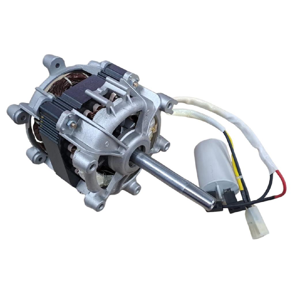 Motor Elétrico Centrifuga Mueller 4P 1/15CV 127V Original
