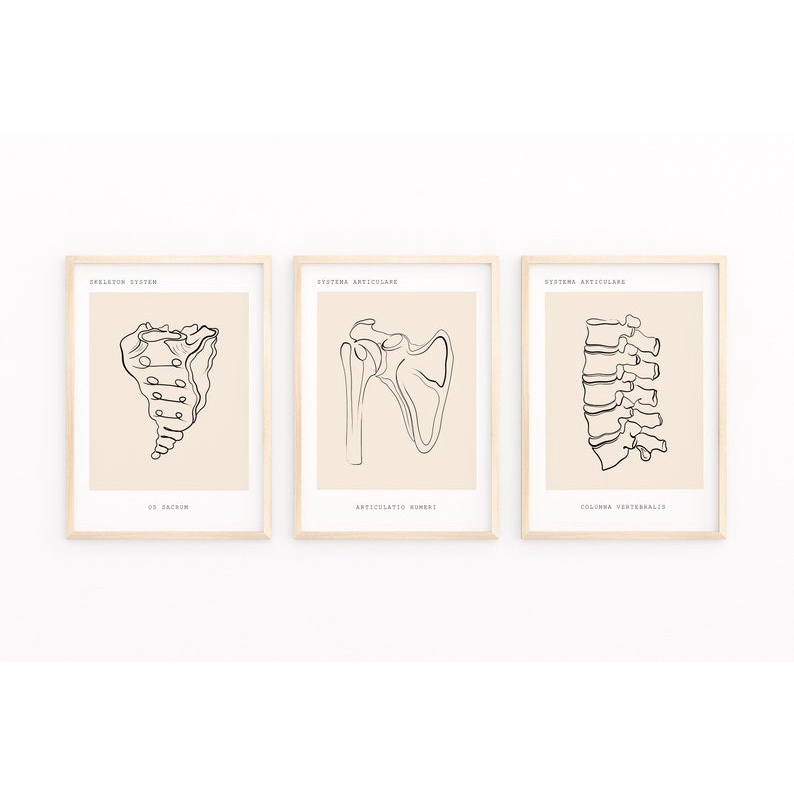 Quadro Decorativo Anatomia Humana, decoração casa Quadro Decorativo Medicina Minimalista tamanho grande Decoração para sala casa cozinha quarto Quadro decorativo Corpo Humano abstrata Moderno Decoração Corpo Humano Retro arte #18