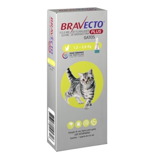 Antipulgas MSD  Bravecto Plus Gatos de 1,2 a 2,8 kg 112,5mg em Oferta na Shopee