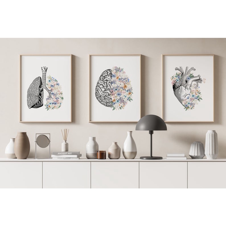 Quadro Decorativo Anatomia Humana, decoração casa Quadro Decorativo coração cerebro pulmão