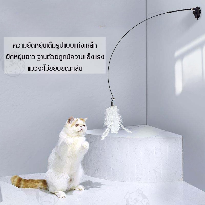 ✨😻﻿ ของเล่นล่อแมว ไม้แหย่แมว ล้อเลียน Cat Stick ไม้ตกแมว แบบปุ่มดูดสุญญากาศ ขนนก สําหรับแมว - ภาพที่ 4
