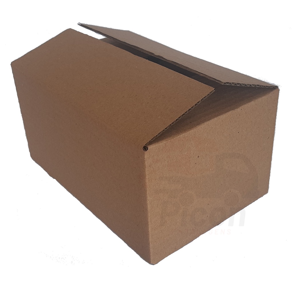 Caixa de Papelão Correio Sedex PAC 30x20x13cm (Medida Interna) - Kit 100 unidades