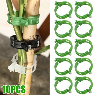 50/100Pcs Jardinagem Para Tomate Vegetal/Clip De Planta Fivela Clipes De Suporte Abraçadeiras De Plástico Suporta Ferramentas De Estaca De Treliça Conecte O Reutilizável/Gancho Fixo Auto-Adesivo /