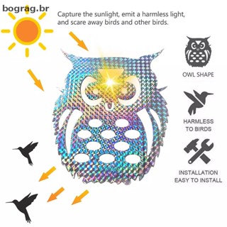 bograg 10pc Garden Laser Pendurado Coruja Espantalho Refletiva Repelente De Pássaros br