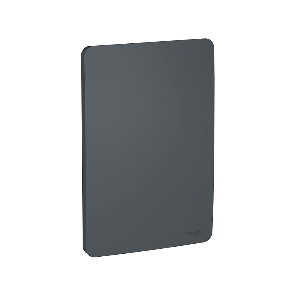 Placa 4x2 cega schneider orion stellar black