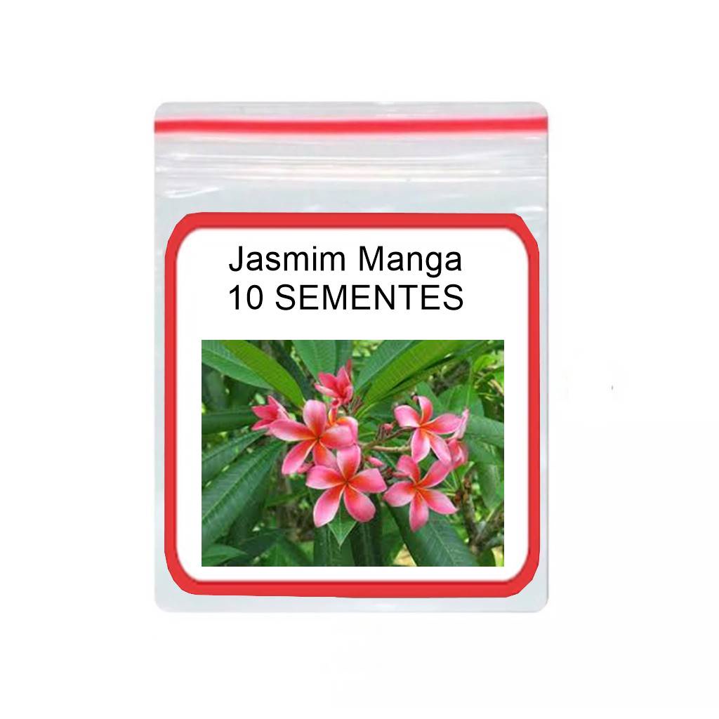 Jasmim Manga Frescas De Plumeria Mix ornamental 10 Sementes