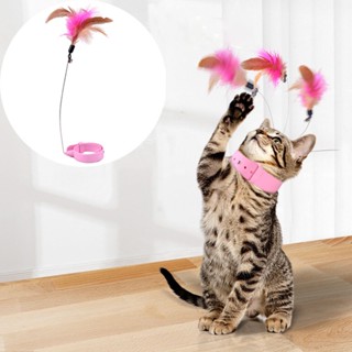 Colar De Gato/Pena Sonhando Sino/Diversão Cat Stick/Brinquedos Para Gatos