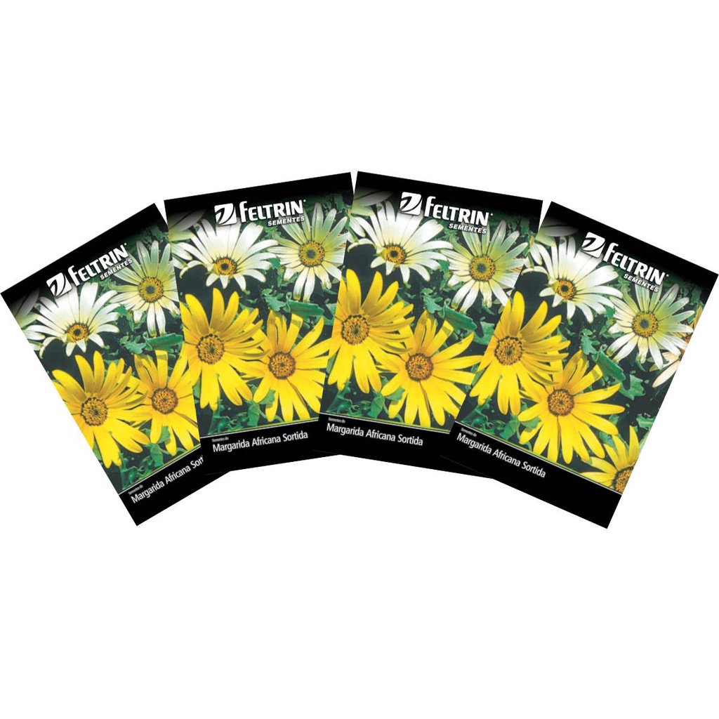 4X Sementes de Margarida Africana [Sortida] FELTRIN