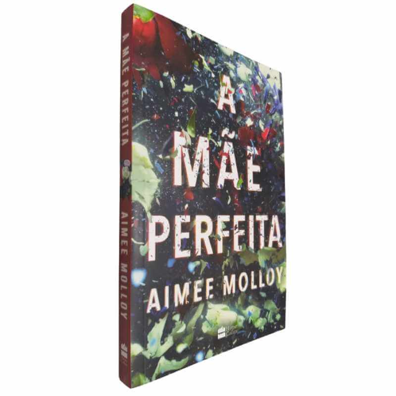 Livro Físico A Mãe Perfeita Aimee Molloy Harper Collins