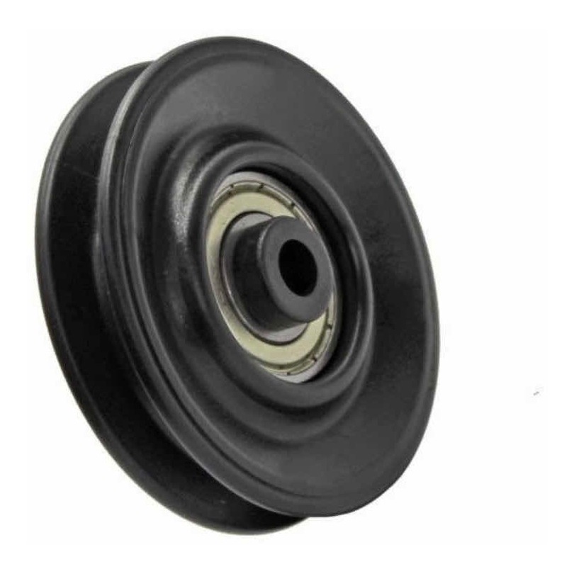 Kit 2 Roldanas c/ Rolamento 110 mm s/ Cabo de Aço Aparelhos de Academia em Oferta na Shopee