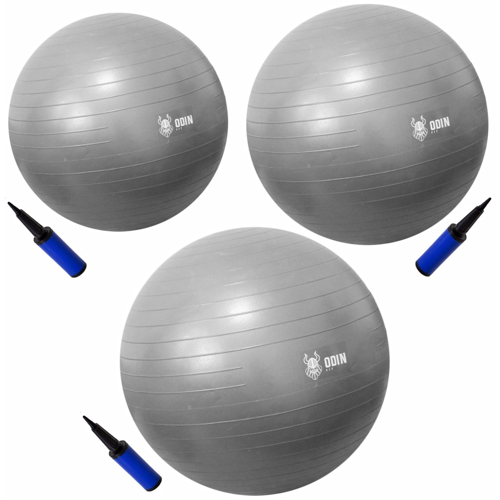 Kit Bola de Ginástica Suíça Yoga 55 65 75cm CINZA Odin Fit em Oferta na Shopee