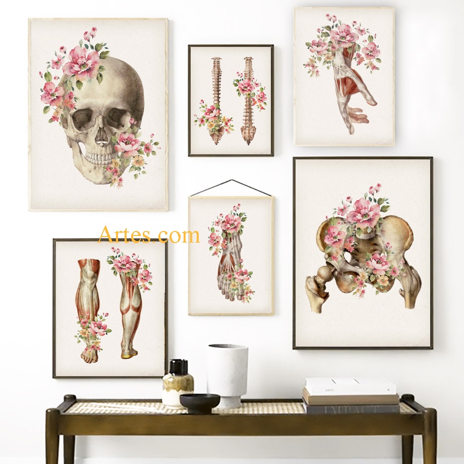 Quadro decorativo anatomia flores Quadro decorativo consultório Quadro decorativo corpo humano flores decoração de quarto anatomia humana decoração de quarto corpo humano quadros decorativos anatomia humana quadros decorativos corpo humano flores