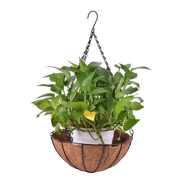 Vaso Pendurar 35cm Pendente Ferro Fibra Coco Natural