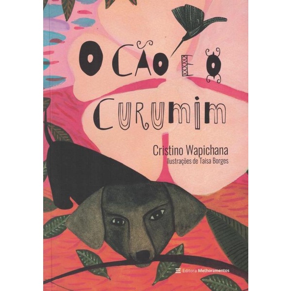 Livro - Cao E O Curumim, O