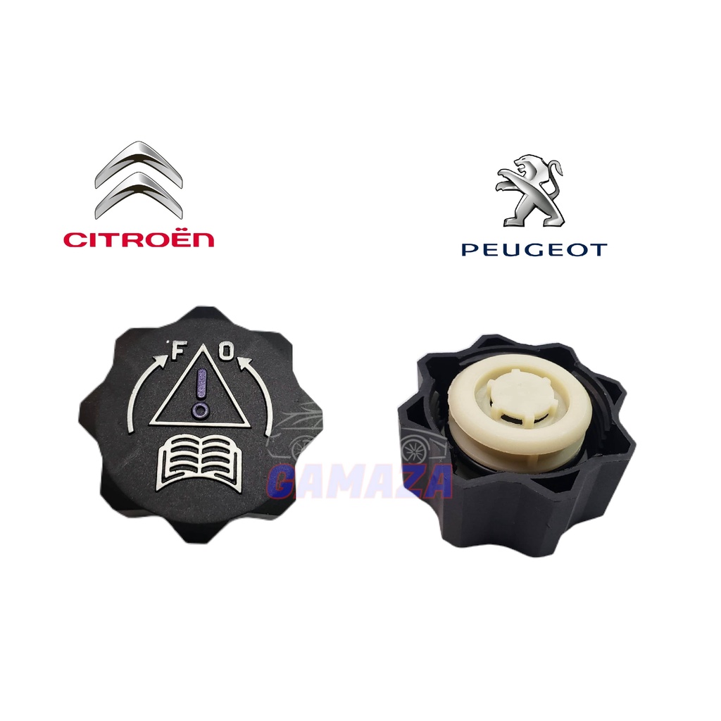 Tampa Reservatório Agua Peugeot 206 207 Citroen C3 C4 C5 em Oferta na Shopee