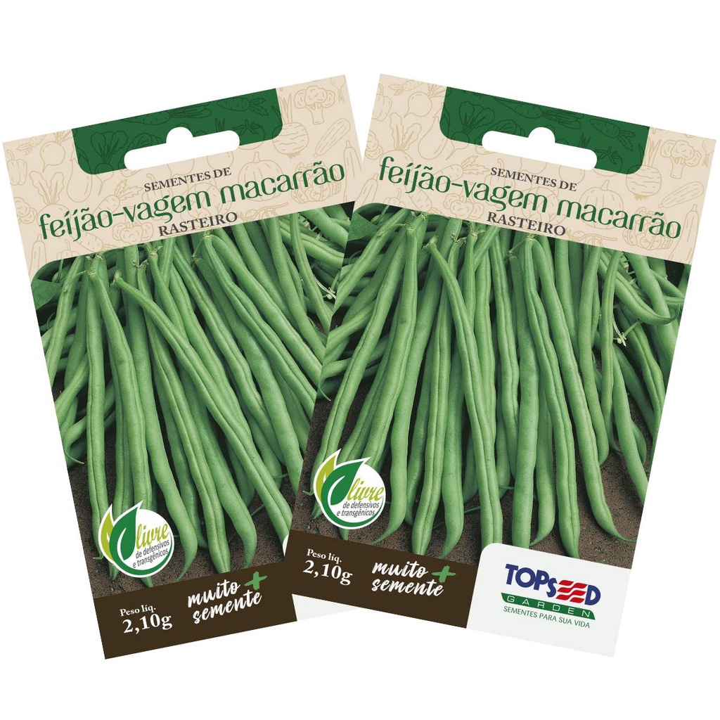 2X Sementes de Feijão Vagem Macarrão (Rasteiro) TOPSEED em Oferta na Shopee