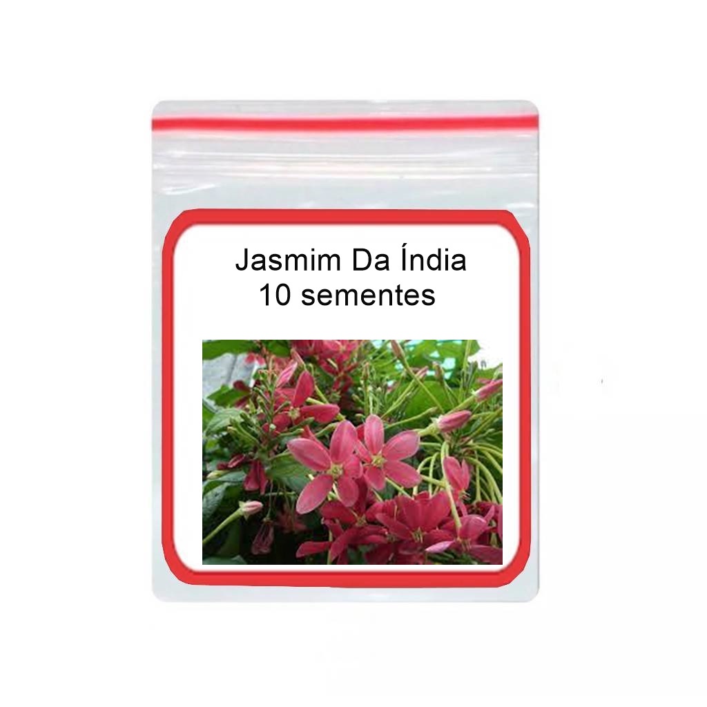 Jasmim da India: Onde Comprar | BuscaProdutos