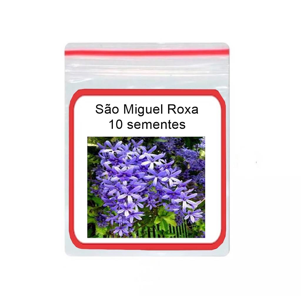 Trepadeira Flor De São Miguel Roxa 10 Sementes em Oferta na Shopee