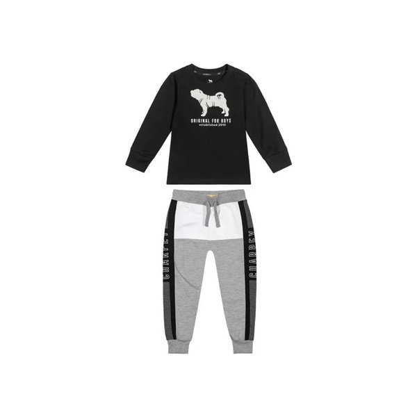 Conjunto Infantil Masculino Camiseta Estampa De Cachorro Calça Moletom Quentinha Confortável