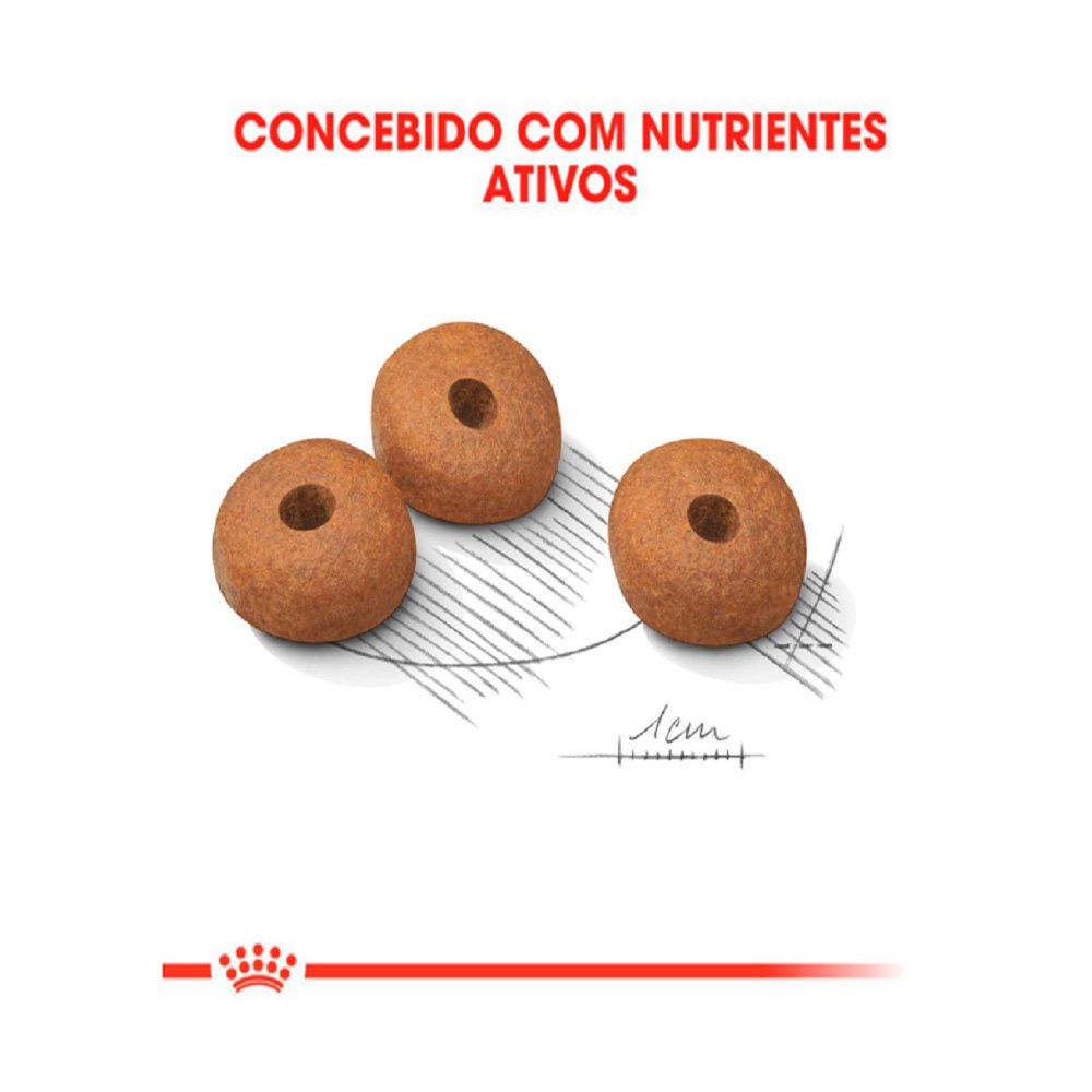 Detalhes do Ração Royal Canin Medium Light Cães Adultos Raças Médias 10,1kg