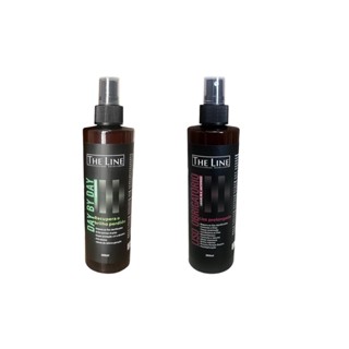 Kit 1 Leave-In Finalizador Capilar Efeito Progressiva 260ml e 1 Leave-in Finalizador Capilar Uso Diário 260ml