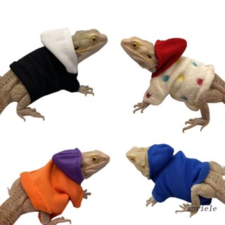 Roupa De Dragão Barbudo Murto Para Lagartos Répteis De Capuz Quente Pequeno Animal De Estimação