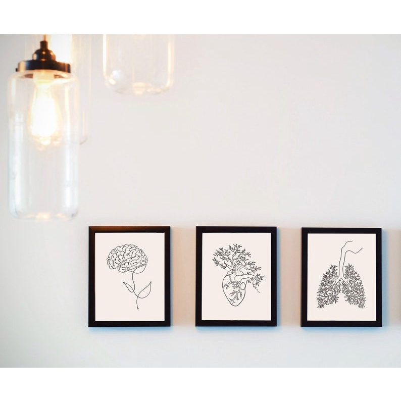 Quadro Decorativo Anatomia Humana, decoração casa Quadro Decorativo Medicina Minimalista.