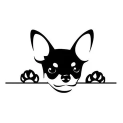 Adesivo Pinscher Espiando Para Carro Pet Moto Not
