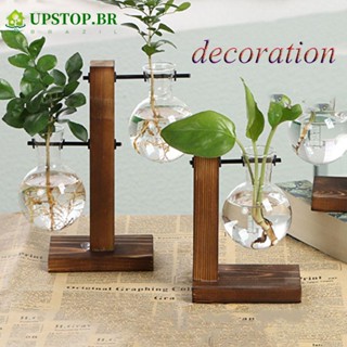 Vasos De Vidro Hidropônico Pragas De Plantas Hidropônicas Para Decoração De Casa Decoração Bonsai Vintage Terrário