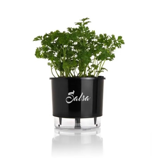 Vaso Autoirrigável N 03 Salsa Preto - Médio - Coleção Gourmet da Raiz