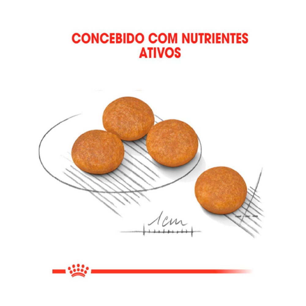 Detalhes do Ração Royal Canin Mini Dermacomfort Cães Adultos Porte Pequeno 1kg