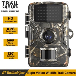 36MP 1080P Câmera De Caça Noturna Com Visão PR700 Fotográfica Infravermelha Para A Vida Selvagem