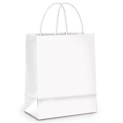 Sacola de Papel M 26x19,5x9,5cm - Branco - 10 unidades - Cromus - Rizzo