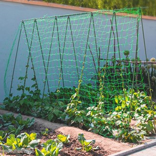 5 * 1.8M Nylon De Alta Qualidade Loofah Jardim Flores De Glória Matinal Plantas De Vinha Trepadeira Rede De Pepino Cultivo Treliça