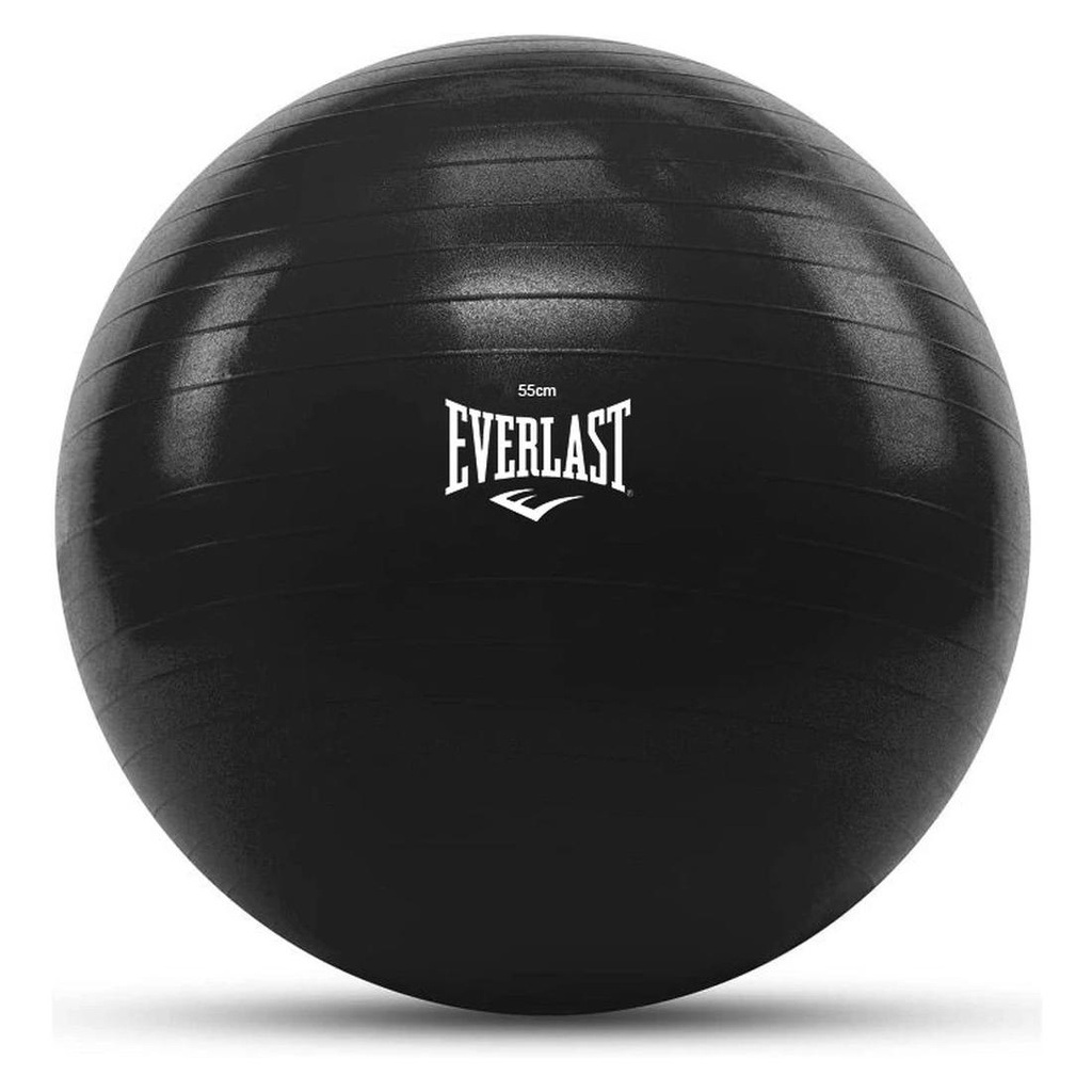 Bola De Pilates 55cm Anti Estouro Com Bomba Everlast