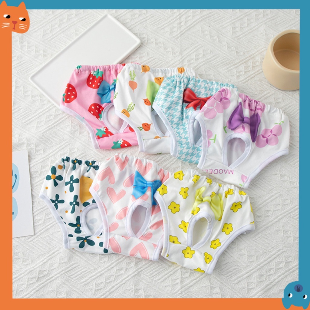 Calças Fisiológicas Coloridas Para Cães em Oferta na Shopee