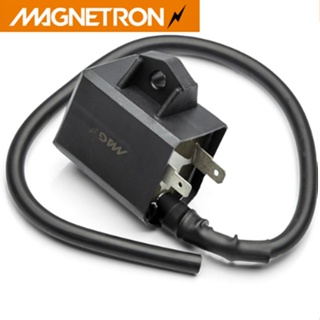 Bobinas de Ignição Burgman 125 2005/2009 - Magnetron em Oferta na Shopee