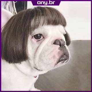 Conjunto de acessórios de cosplay para animais de estimação, peruca, cachorro, gato, fotografia, engraçado, pegadinha, suprimentos de natal airdots.br
