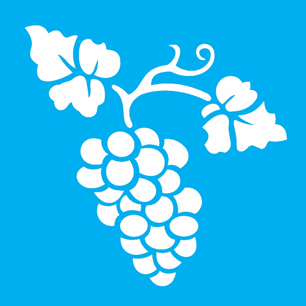 Stencil Frutas Uva 10x10 OPA 787