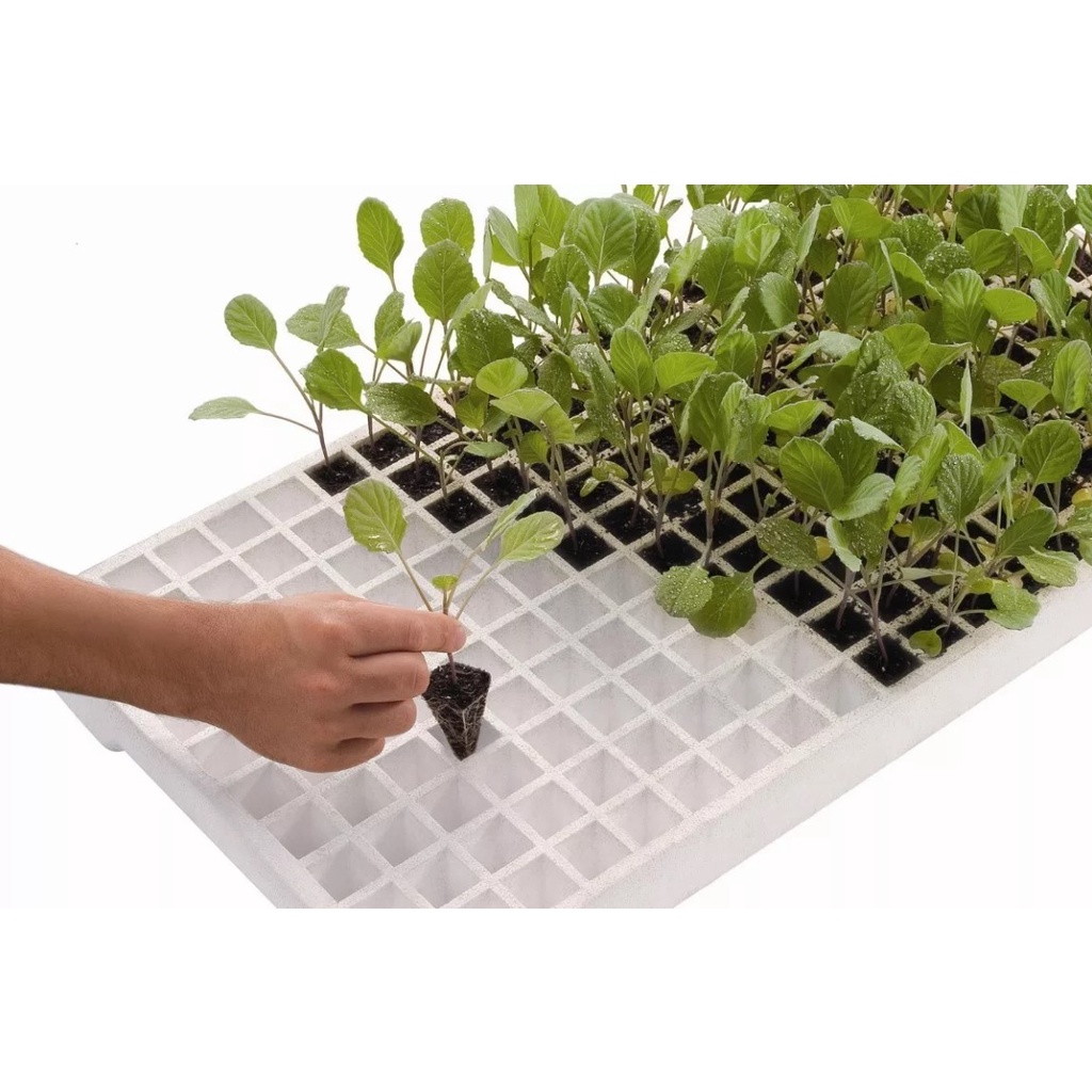 Bandejas de Isopor Mudas: Onde Comprar | BuscaProdutos