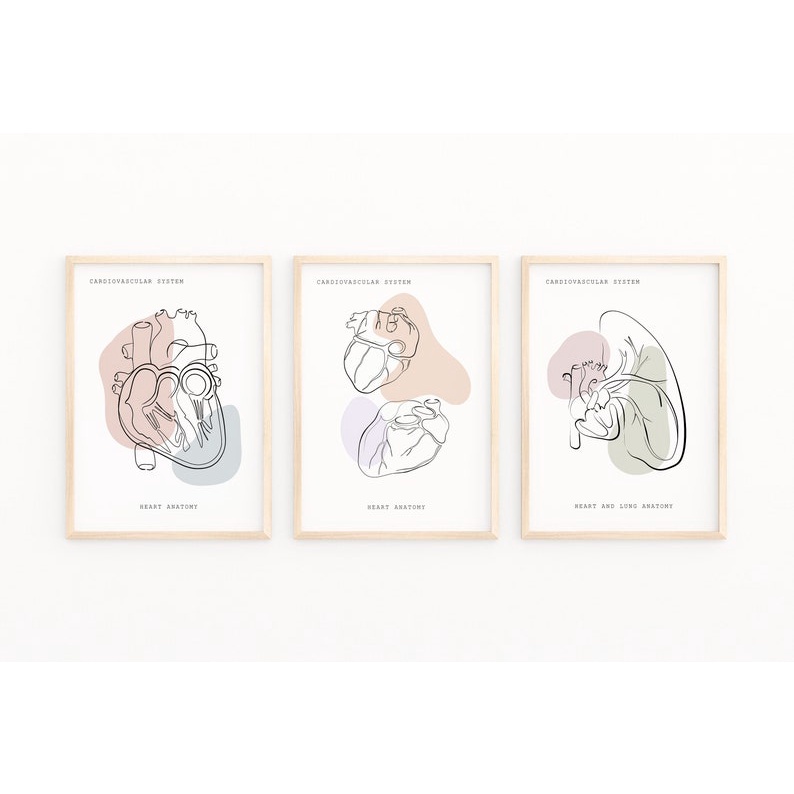 Quadro Decorativo Anatomia Humana, decoração casa Quadro Decorativo Medicina Minimalista tamanho grande Decoração para sala casa cozinha quarto Quadro decorativo Corpo Humano abstrata Moderno Decoração Corpo Humano Retro arte #44