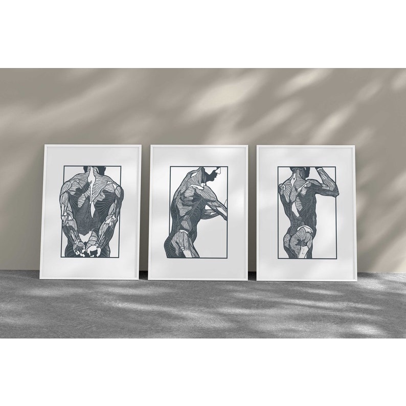 Quadro Decorativo Anatomia Humana, decoração casa Quadro Decorativo Medicina Minimalista tamanho grande Decoração para sala casa cozinha quarto Quadro decorativo Corpo Humano abstrata Moderno Decoração Corpo Humano Retro arte #03