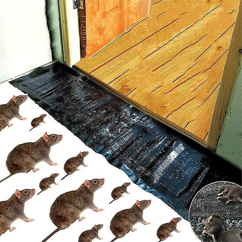 Rato Pegajoso Almofadas Armadilha Cola Para Ratos Roedor Placa Armadilhas Pegajosas Mouse Pads