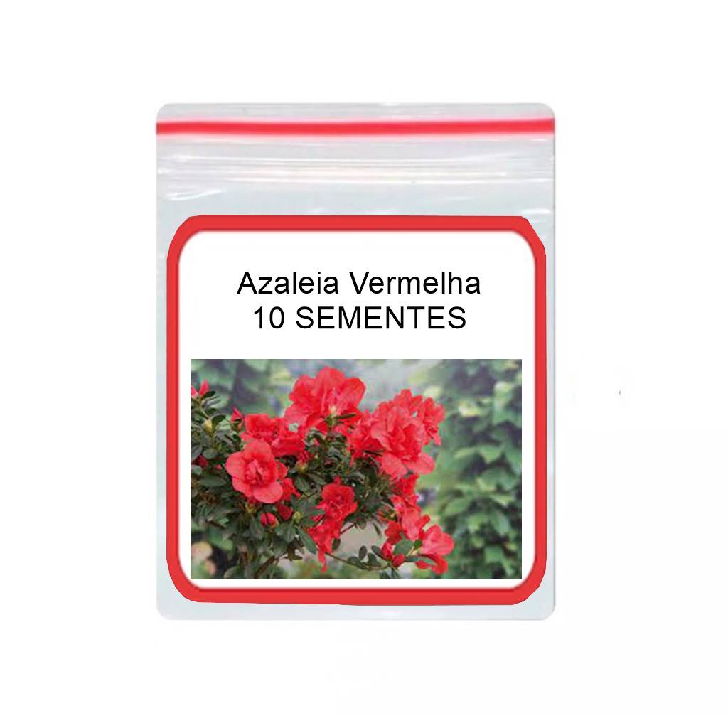 Azaleia Vermelha Mudas: Onde Comprar | BuscaProdutos