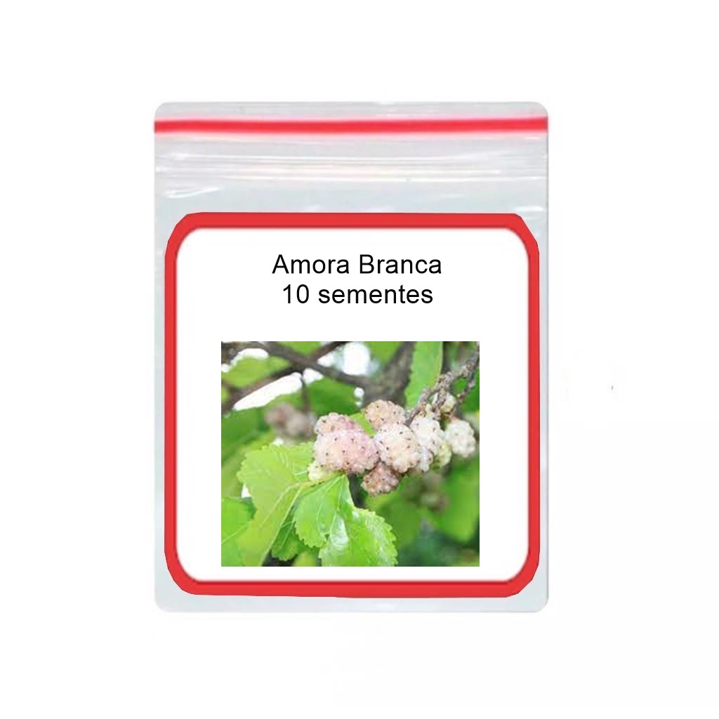 O que é Mudas Amora Branca? Guia e Onde Comprar | BuscaProdutos