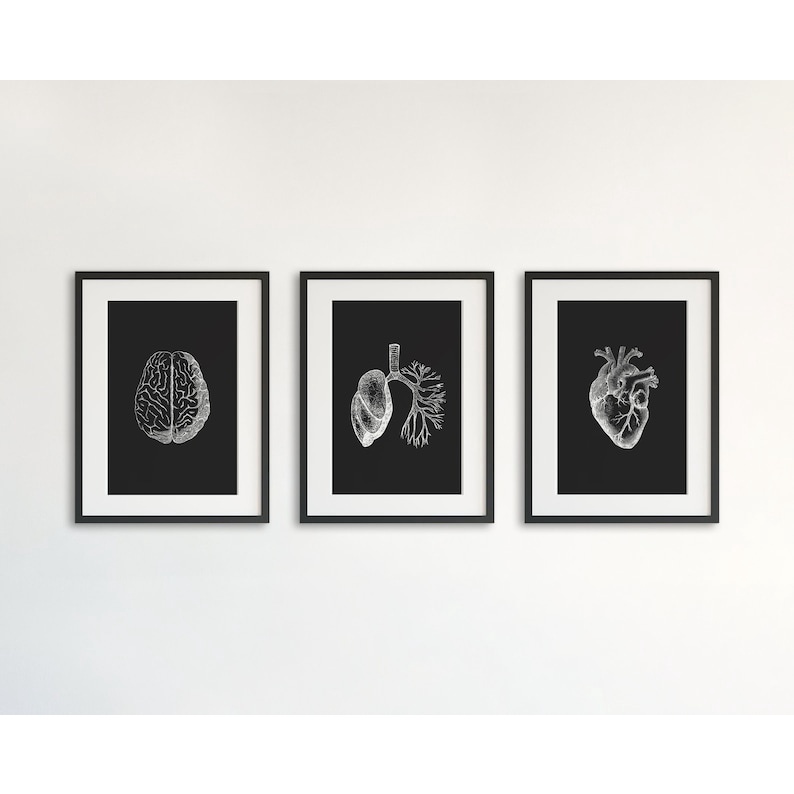 Quadro Decorativo Anatomia Humana, decoração casa Quadro, Preto e branco, coração
